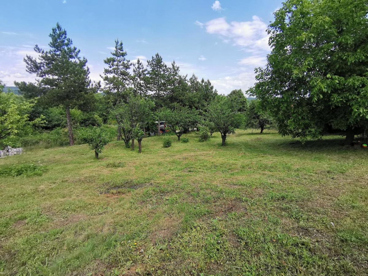 Borsko Jezero Villa Bagian luar foto