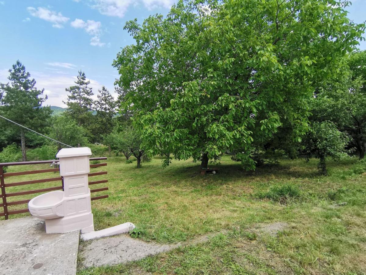 Borsko Jezero Villa Bagian luar foto