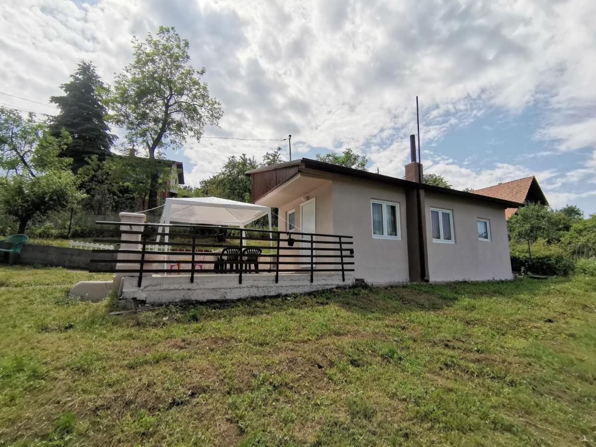 Borsko Jezero Villa Bagian luar foto