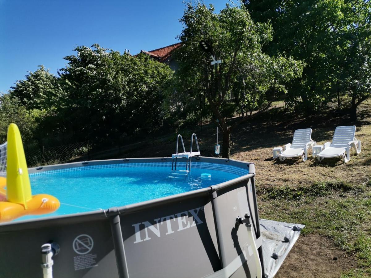 Borsko Jezero Villa Bagian luar foto