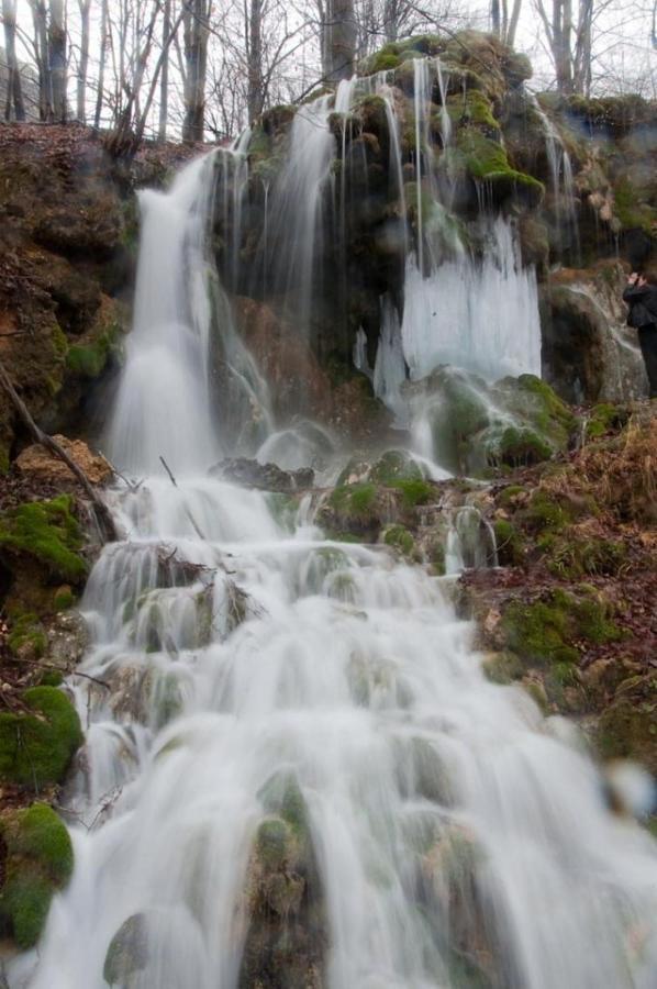 Borsko Jezero Villa Bagian luar foto